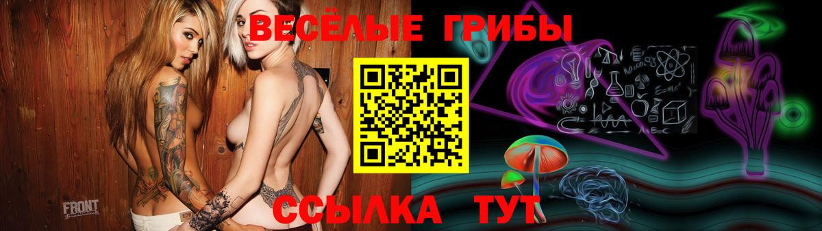 Псилоцибиновые грибы Cubensis Лесозаводск