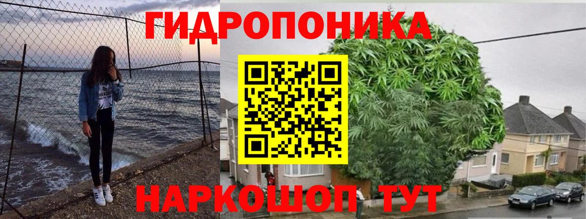 Лесозаводск  Бошки марихуана Amnesia  Канабис THC 21%  Конопля ГИДРОПОН  Вход с VPN 